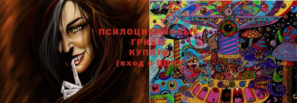 ГАЛЛЮЦИНОГЕННЫЕ ГРИБЫ Тихвин