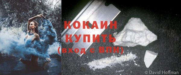 дживик Наволоки