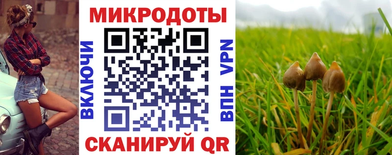 МЕГА рабочий сайт  Мурино  Псилоцибиновые грибы Psilocybe  хочу  