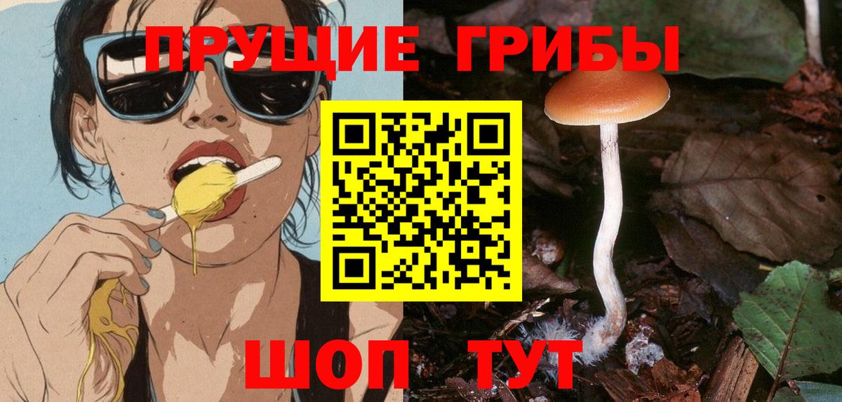 Мурино  Галлюциногенные грибы MAGIC MUSHROOMS  Галлюциногенные грибы мухоморы  Вход с VPN 